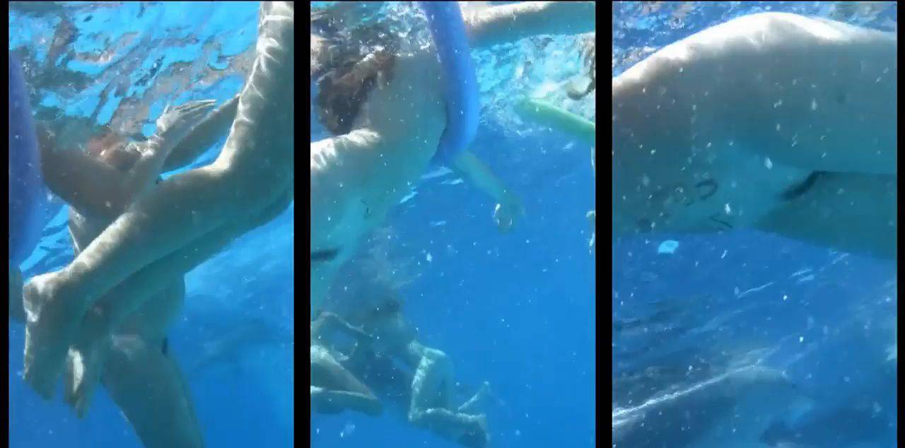 Amazing Dolphin Encounter - 2