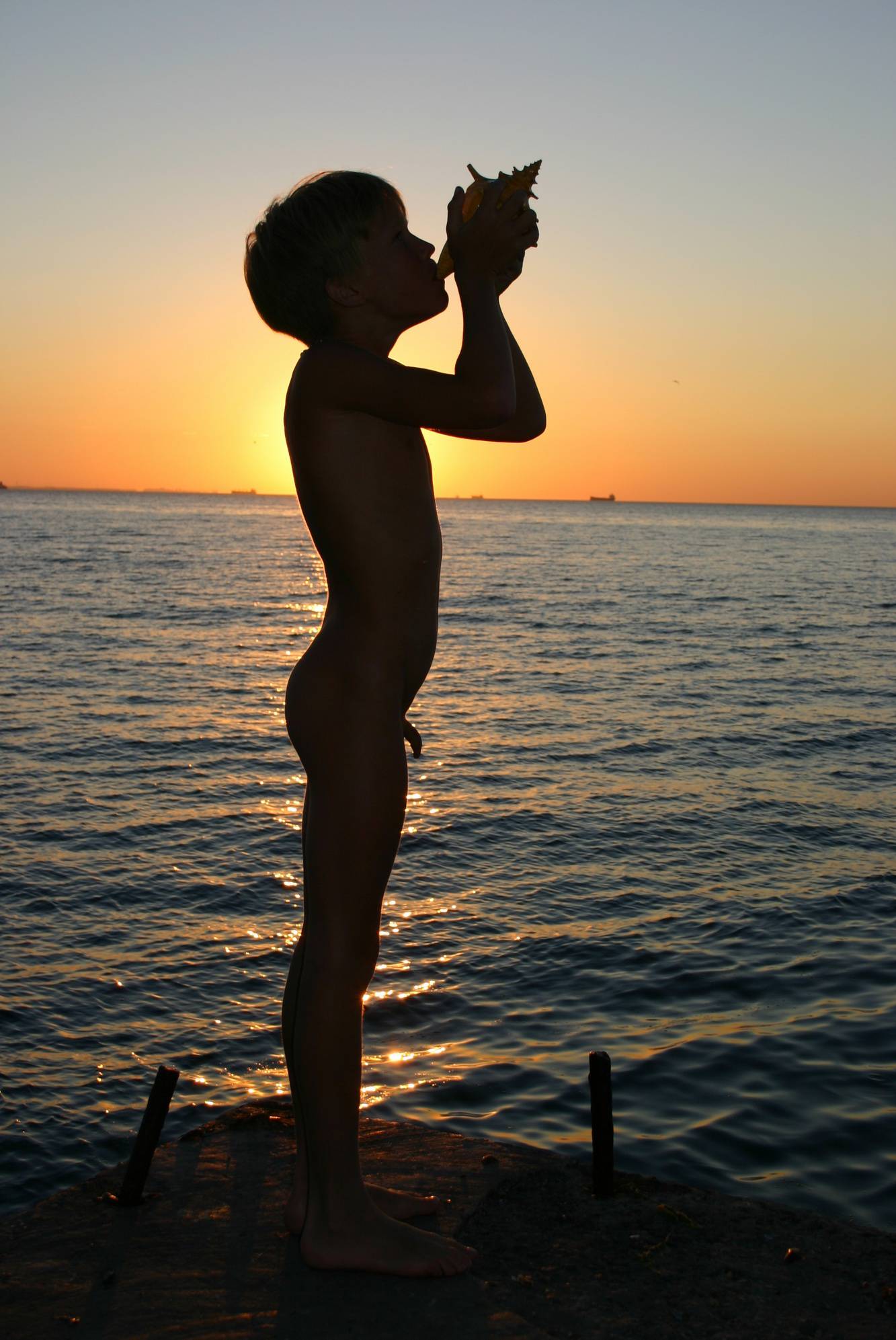 Pure Nudism Photos Naturist Family Silhouette - 3