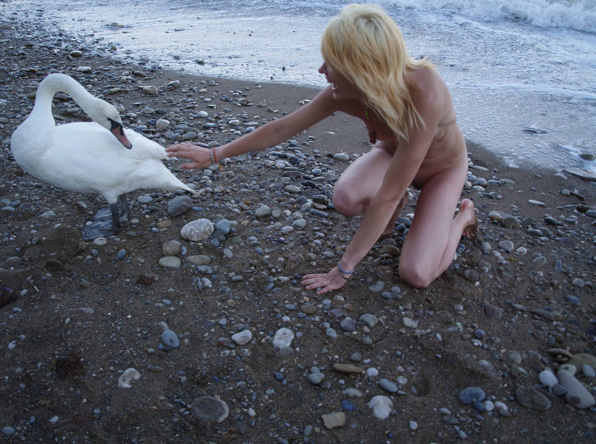 Purenudism Nude Ocean Swan Beauty - 2