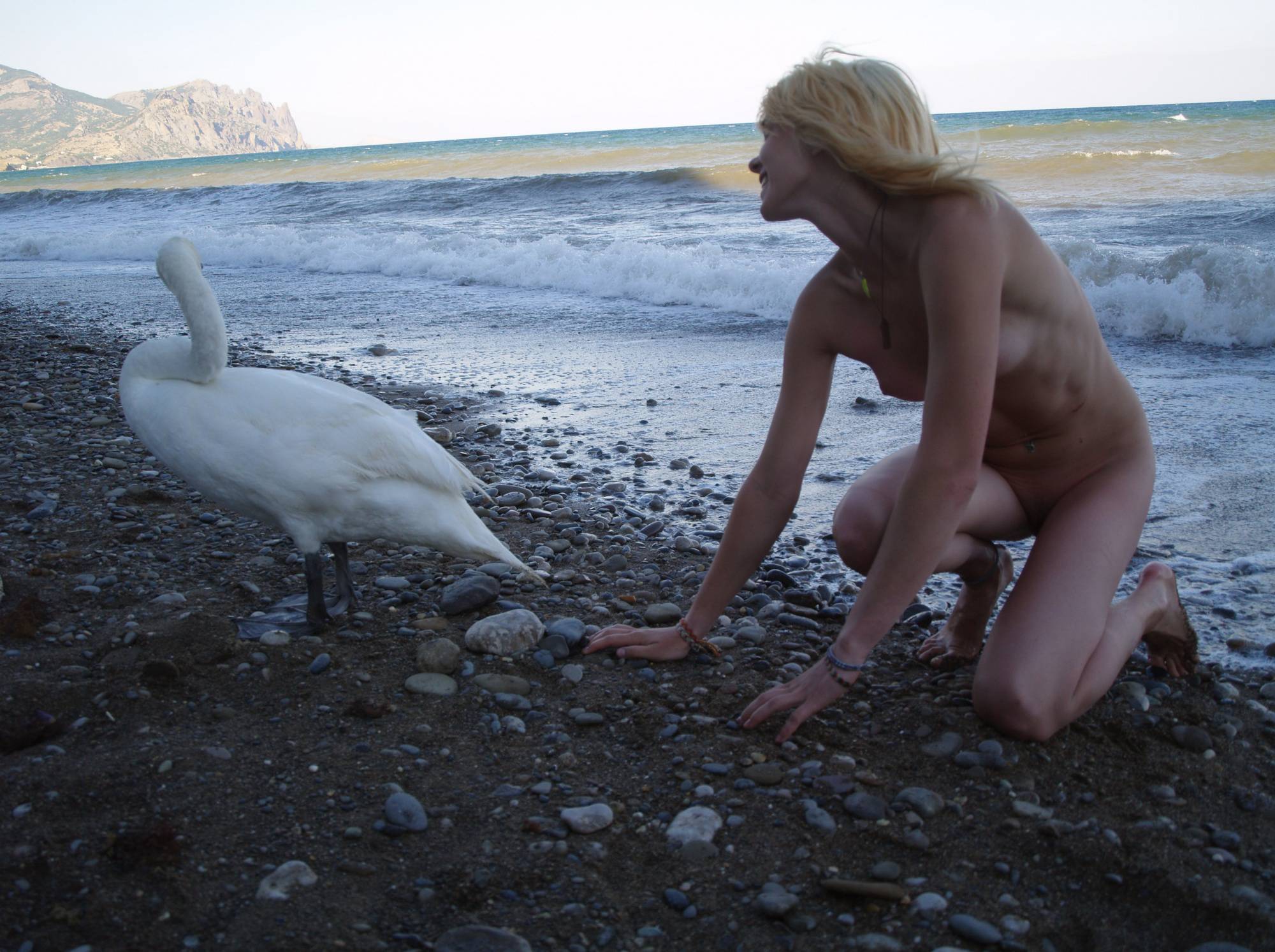 Nude Ocean Swan Beauty - 1