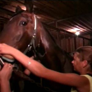 When Horses and Naturists Meet - Naturism in Russia 2000 Series